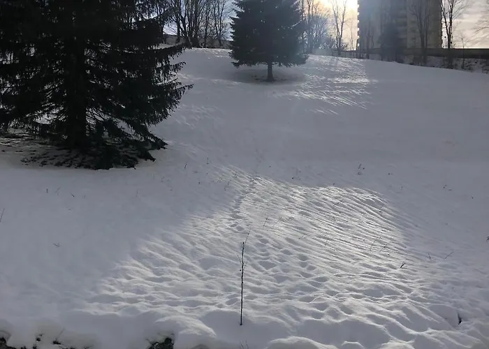 Daire Pano Hohegeiss App 363 Mit Wlan *